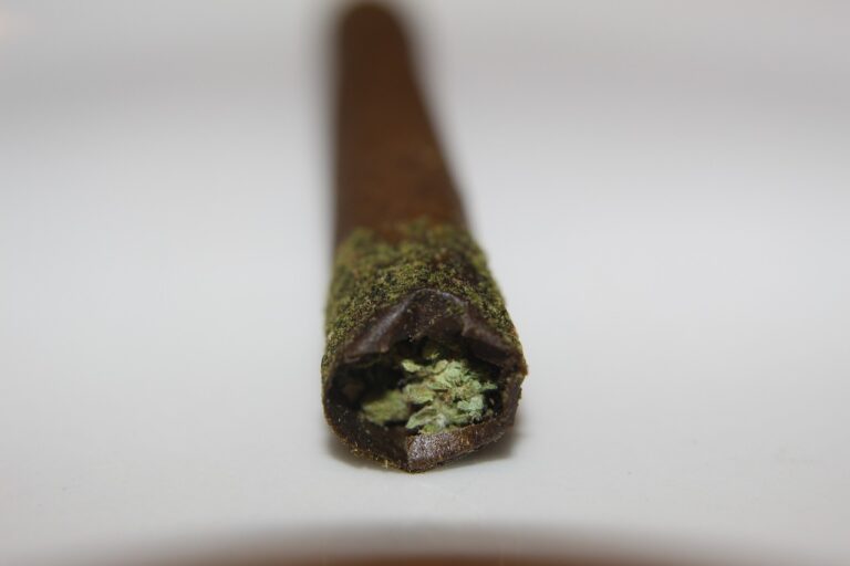 canna stick 4145518 1280