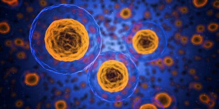 Genetik verstehen: Expertenrat zu Symptomen & Risiken