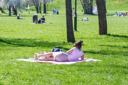 Die besten Tipps für ein gelungenes Picknick im Park
