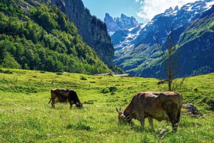 Geheime Orte in der Schweiz, die du unbedingt besuchen musst