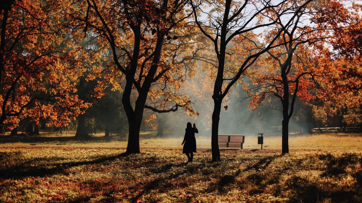 Herbstmüdigkeit: Ursachen und die besten Gegenmittel