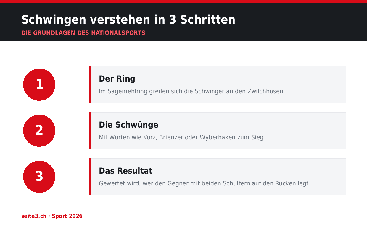 Schwingen verstehen in 3 Schritten