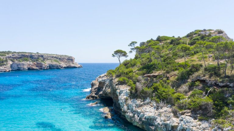 Urlaub auf Mallorca: Top Tipps für unvergessliche Reisen