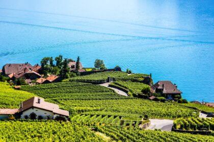 Schweizer Wein: Eine Entdeckungsreise durch die Weinberge