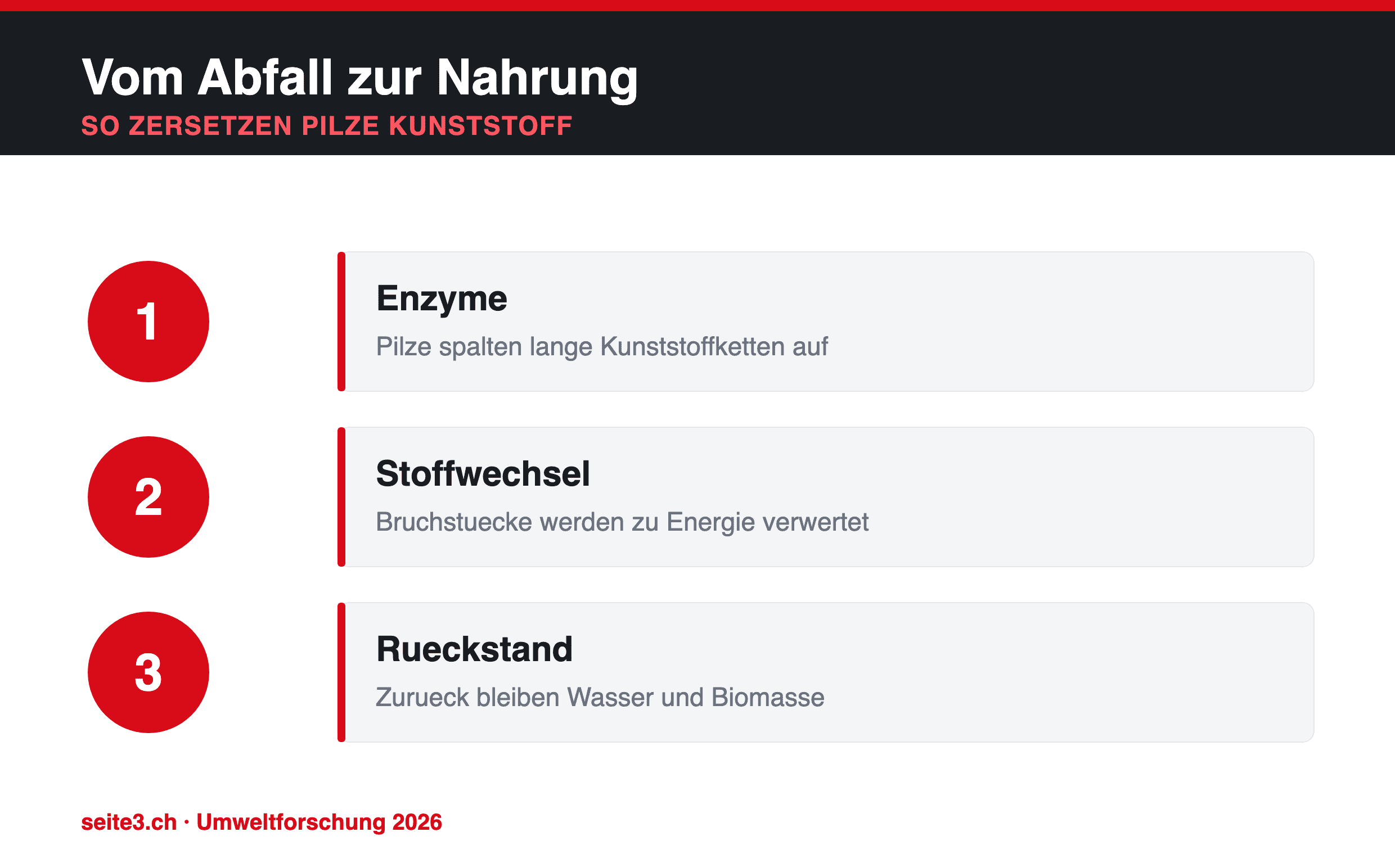 Infografik: Vom Abfall zur Nahrung