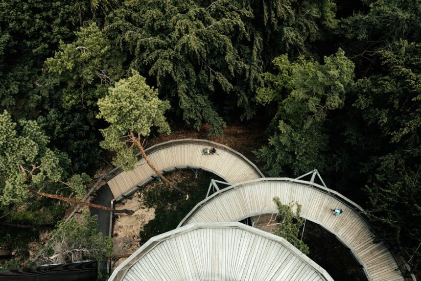 skywalk allgäu - Aerial view of a curving wooden walkway in a lush forest in Bojnice, Slovakia.