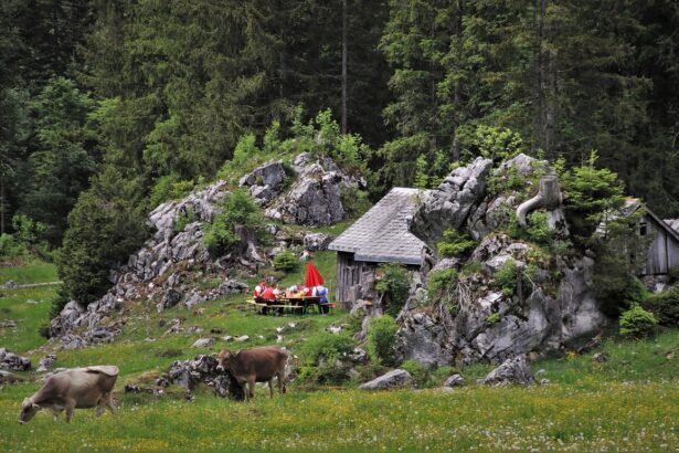 Warum die Schweiz das perfekte Reiseziel für Naturliebhaber ist