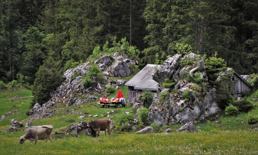 Warum die Schweiz das perfekte Reiseziel für Naturliebhaber ist