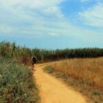 Zeckenschutz beim Wandern: So schützt du dich im Sommer